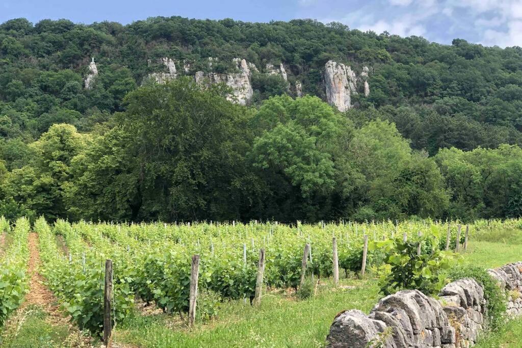 Maison Au Coeur Du Vignoble Jurassien 90 M2 Lavigny Exterior photo
